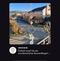 Schmetterling Sonnenfänger – Handgemachte Fensterdeko mit Lichtmagie