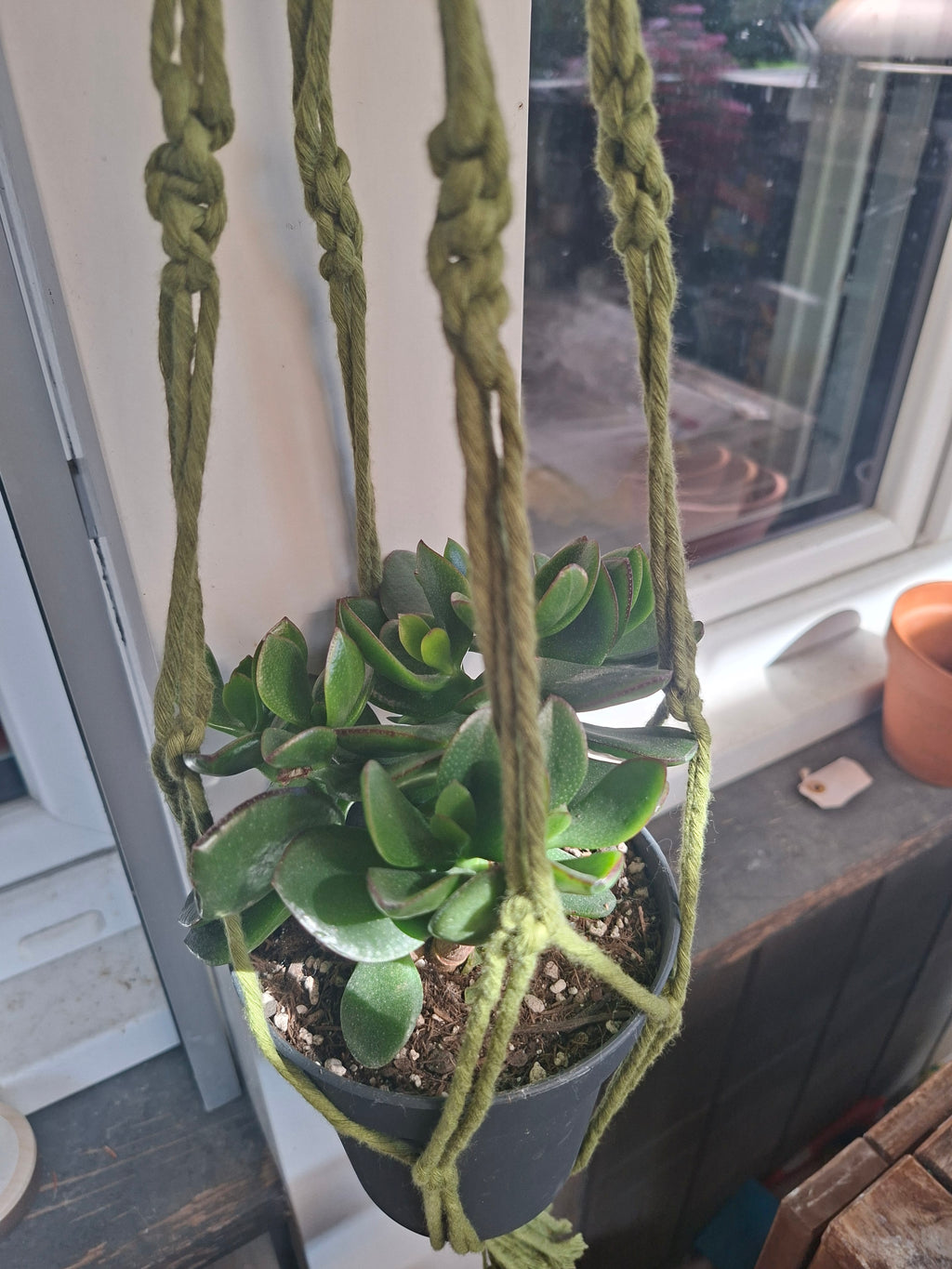 Makramee Blumenampel Grün mit Schmucksteinen | Boho Pflanzenhänger | handgemachtes Unikat